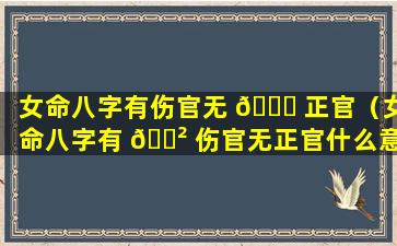 女命八字有伤官无 🐞 正官（女命八字有 🌲 伤官无正官什么意思）